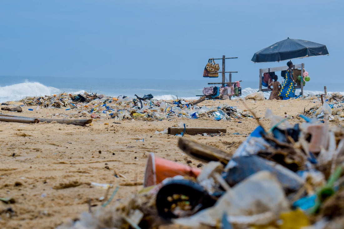 Seas the Day: Why Cleaning Our Oceans is a Whale of a Good Idea